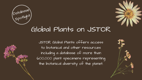 Brown background with images of flowers in three corners. Text reading: Database Spotlight. Global Plants on JSTOR. JSTOR Global Plants offers access to botanical and other resources including a database of more than 600,000 plant specimens representing the botanical diversity of the planet.
